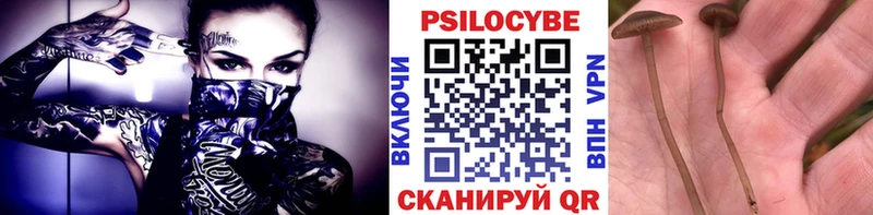 где можно купить наркотик Алупка Псилоцибиновые грибы мицелий